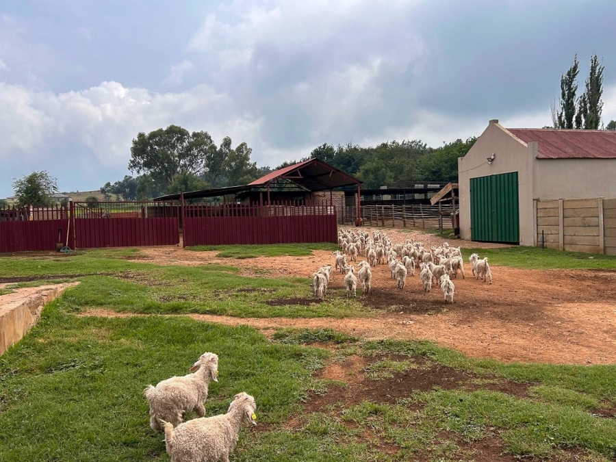 4 Bedroom Property for Sale in Parys Free State